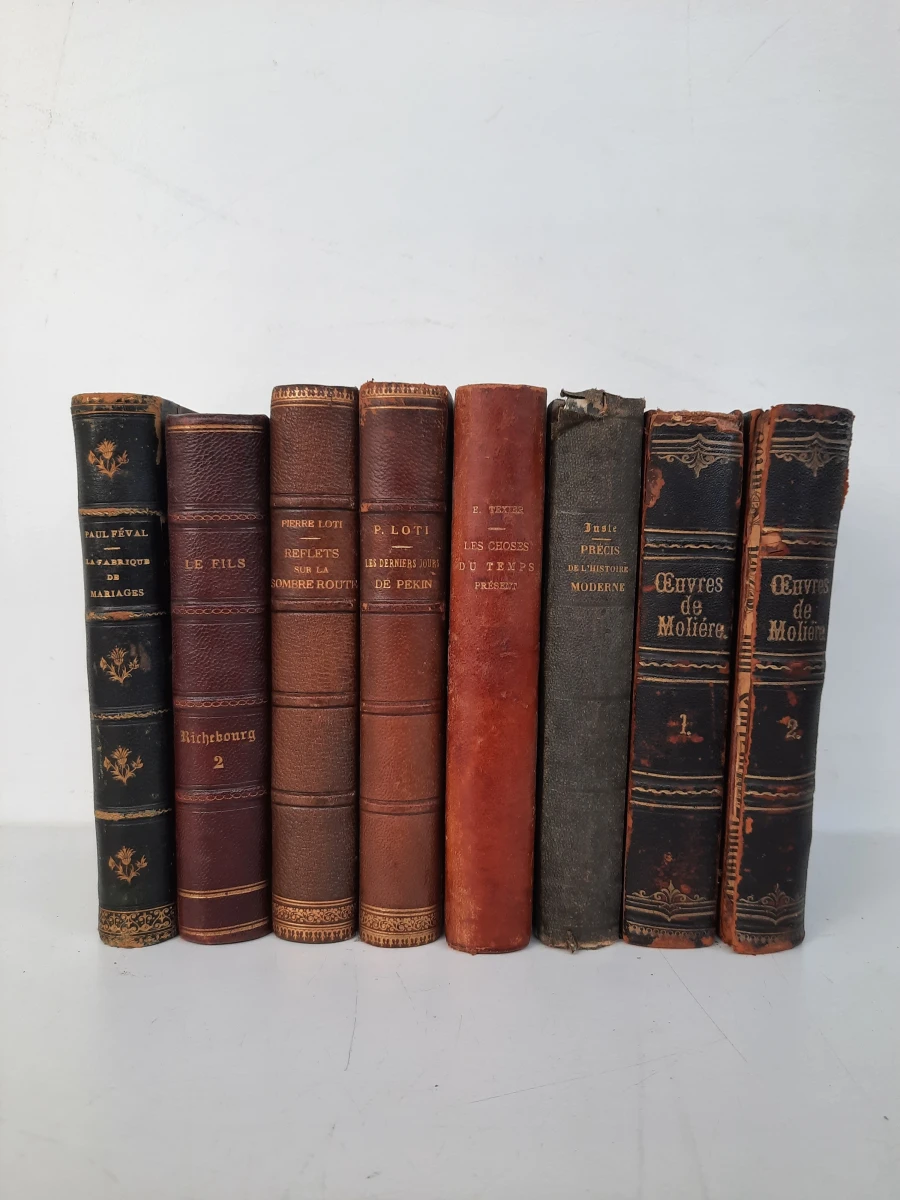 Set oude Franse boeken met illustraties