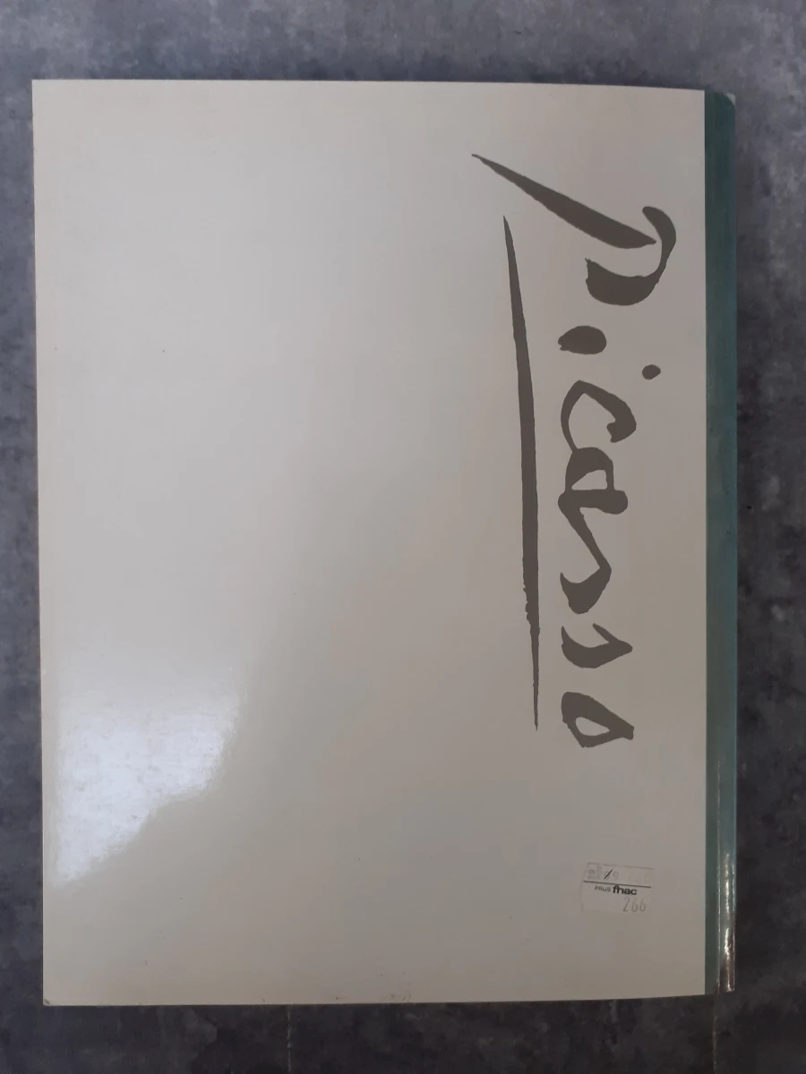 Boek: Duo van Picasso kunstboeken