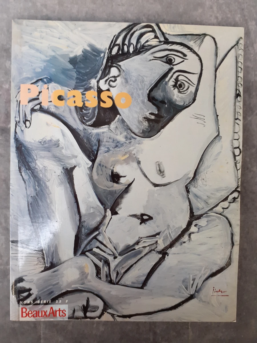 Boek: Duo van Picasso kunstboeken