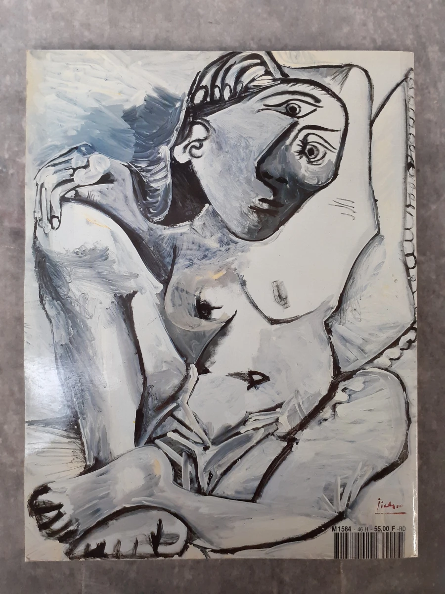 Boek: Duo van Picasso kunstboeken