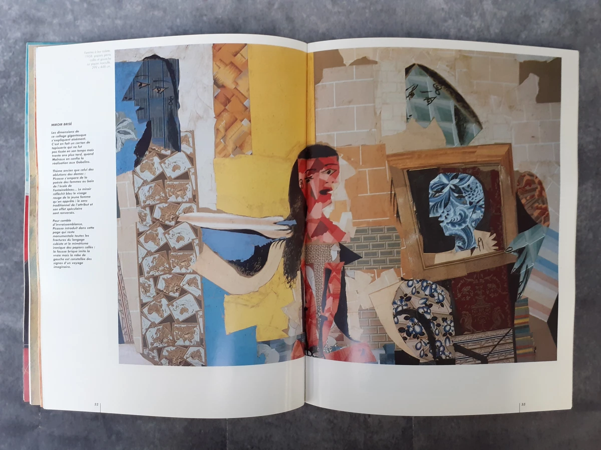 Boek: Duo van Picasso kunstboeken