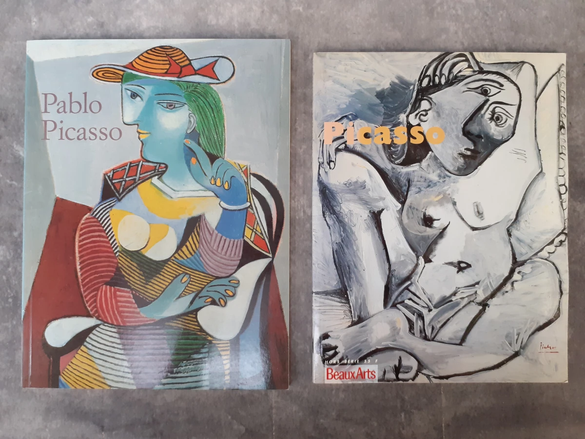 Boek: Duo van Picasso kunstboeken
