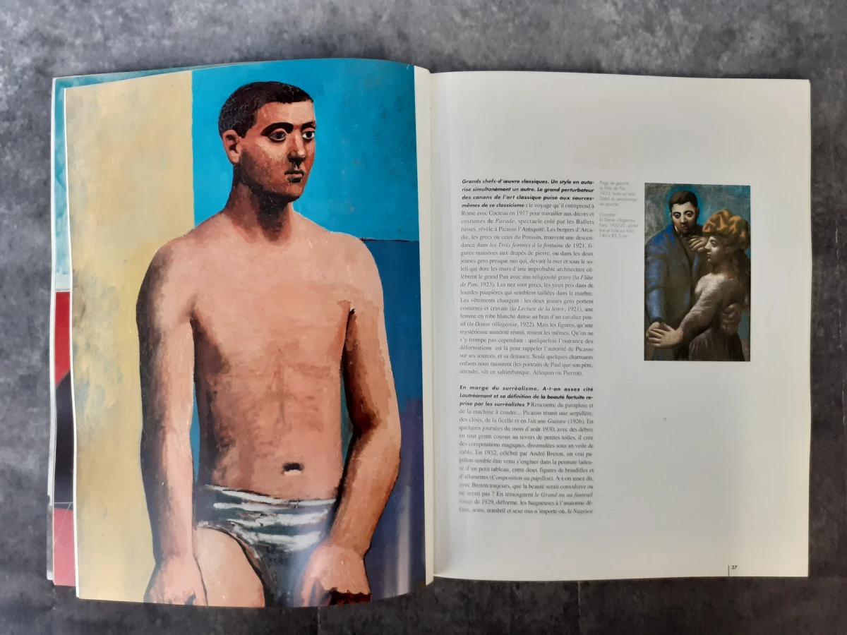 Boek: Duo van Picasso kunstboeken
