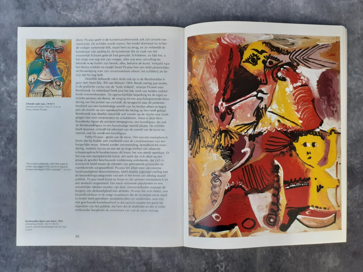 Boek: Duo van Picasso kunstboeken