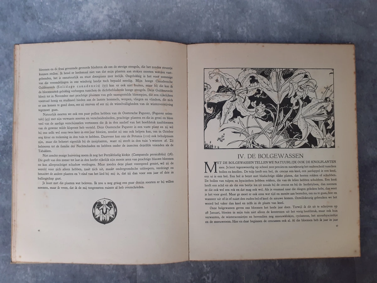 Boek: De bloemen in onzen tuin