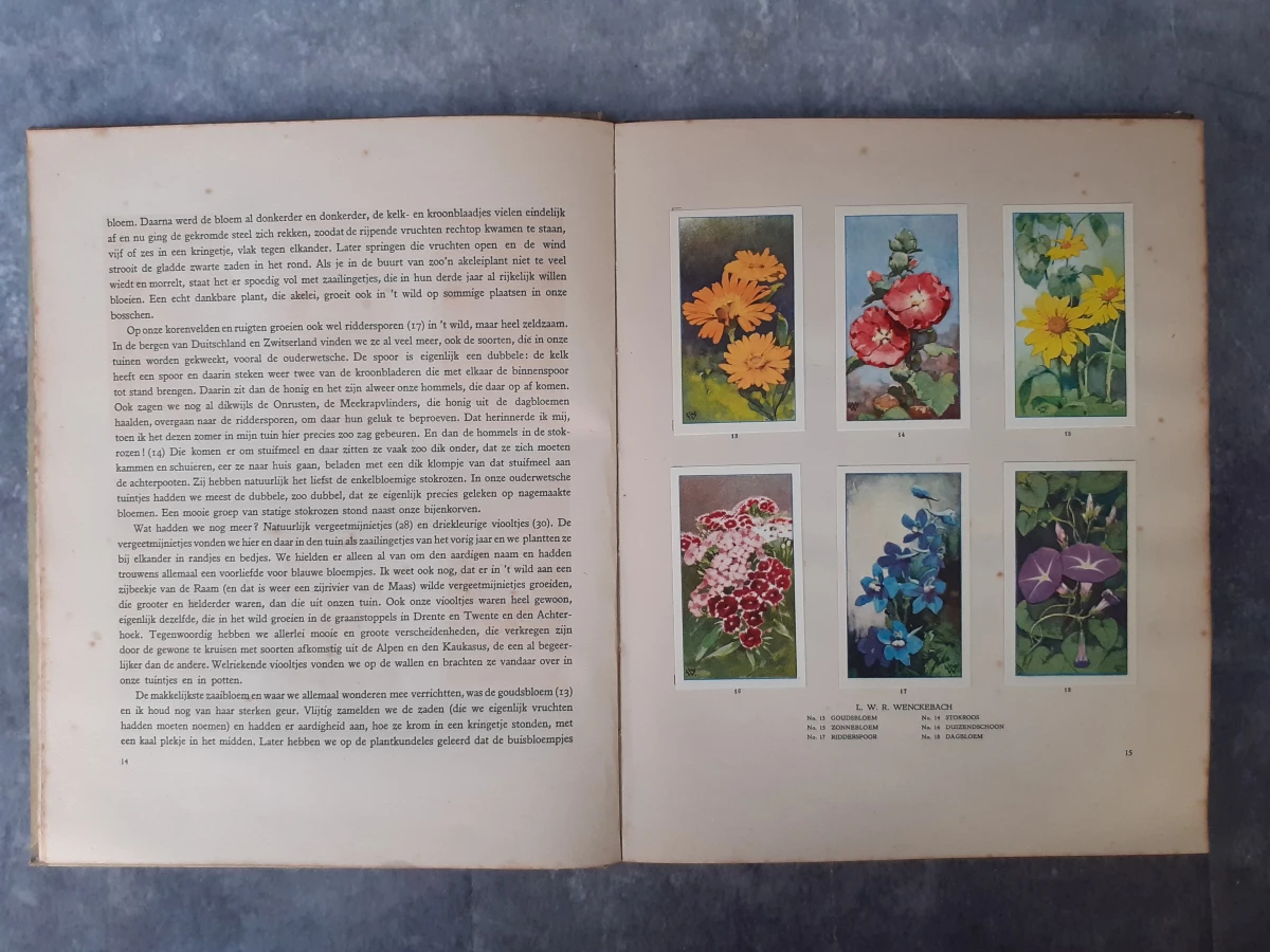 Boek: De bloemen in onzen tuin