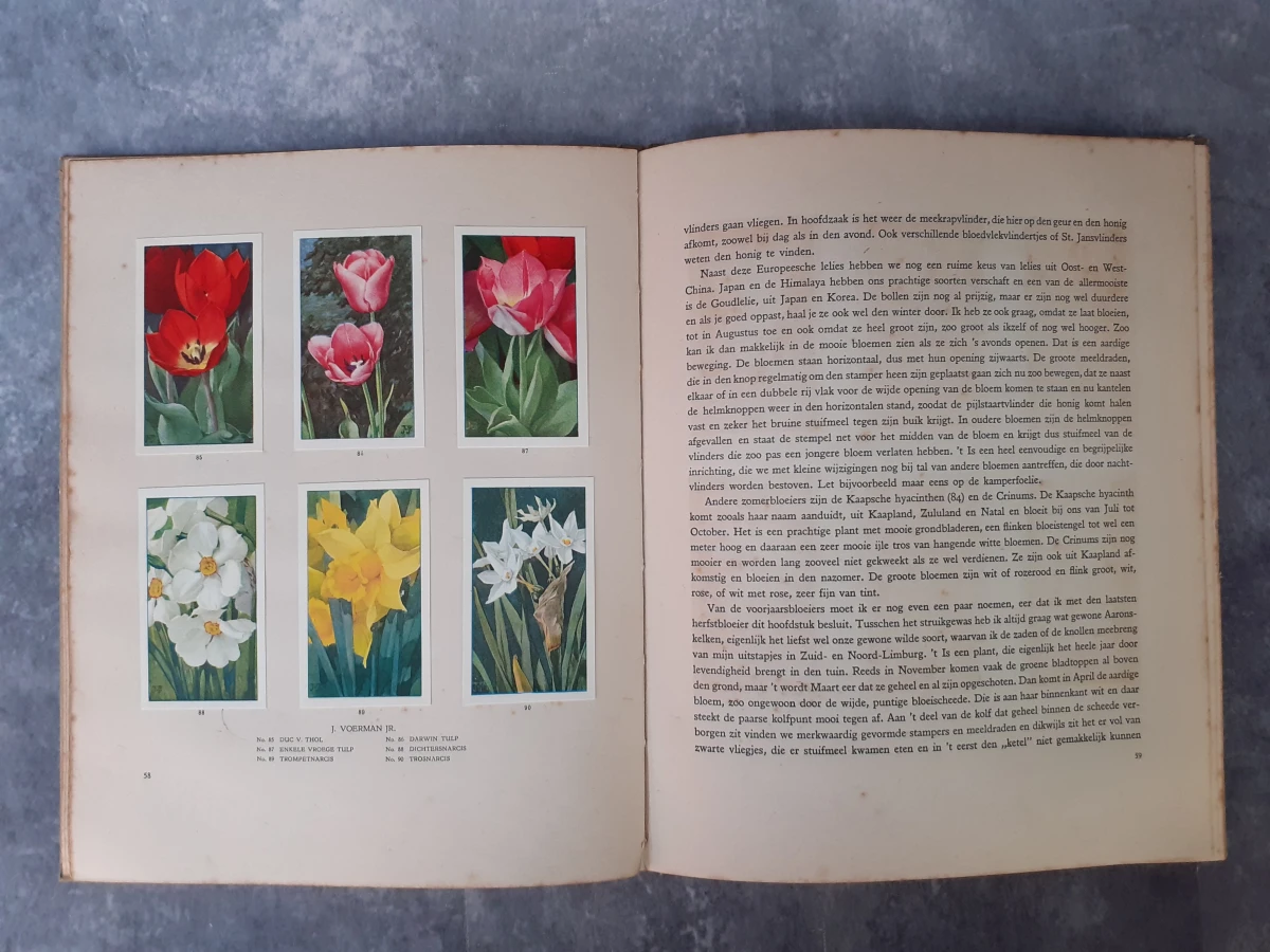 Boek: De bloemen in onzen tuin