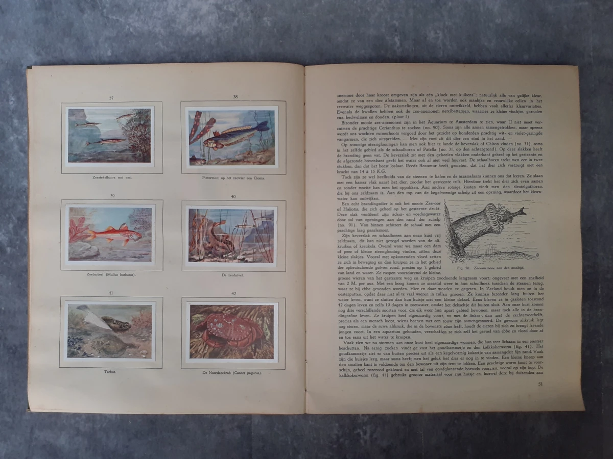 Boek: Het leven der zee