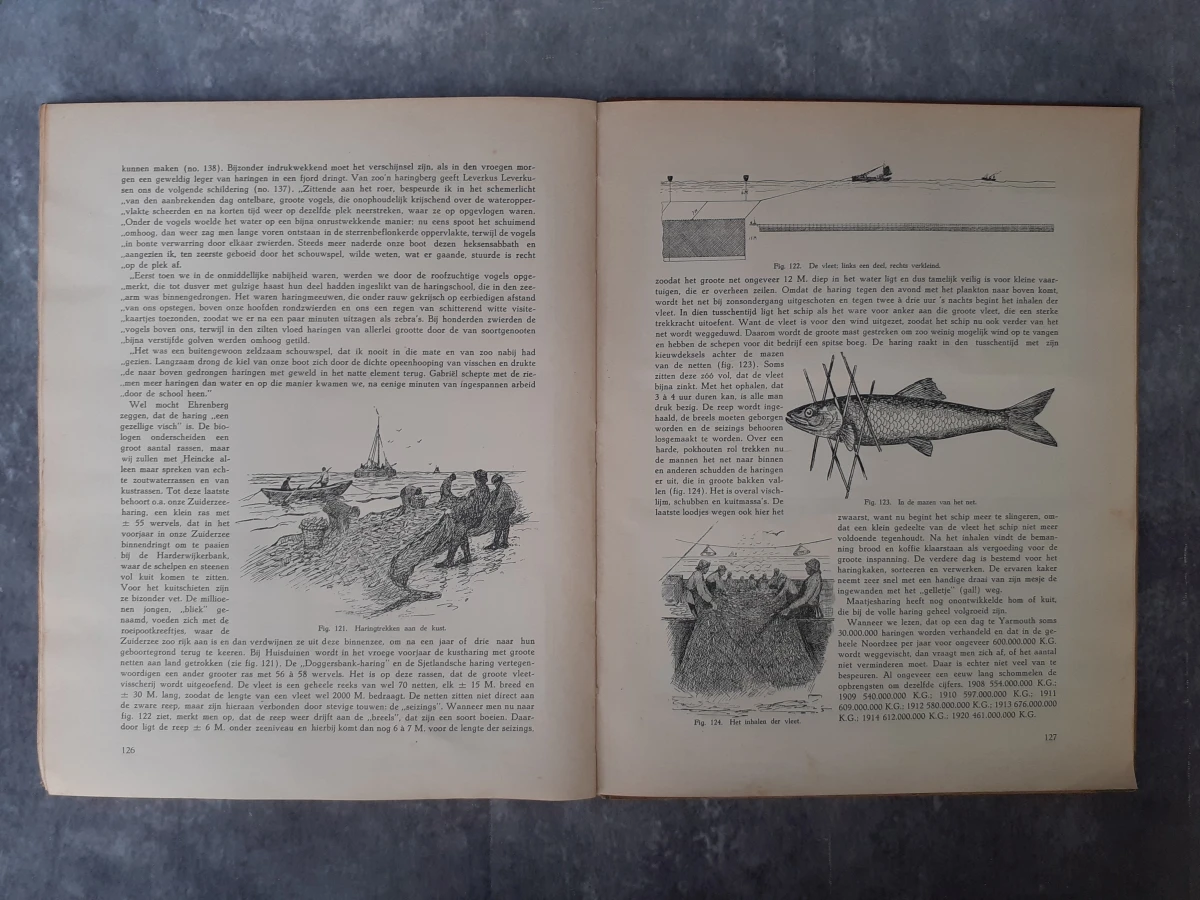 Boek: Het leven der zee