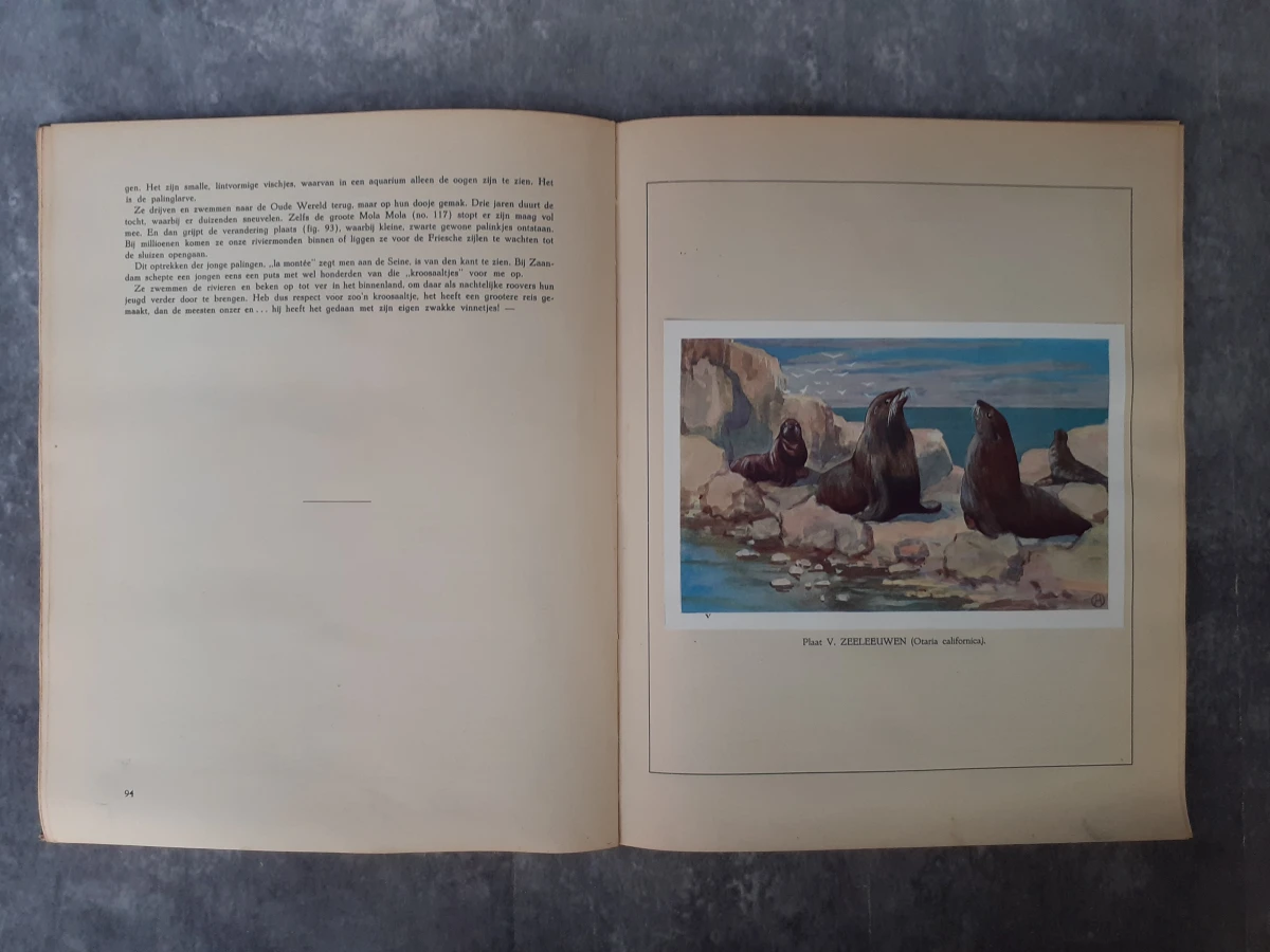 Boek: Het leven der zee