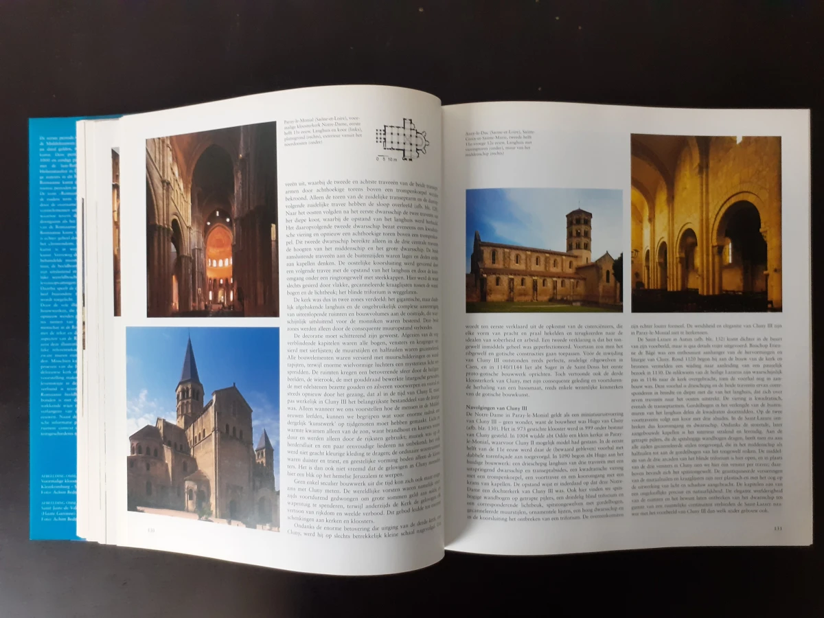 Boek: Romaanse kunst: Architectuur - Beeldhouwkunst - Schilderkunst
