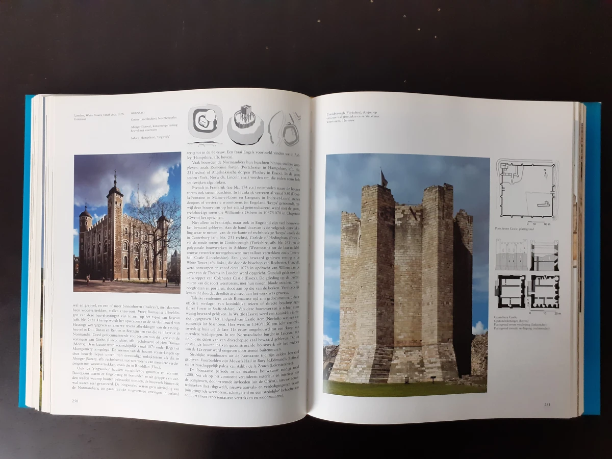 Boek: Romaanse kunst: Architectuur - Beeldhouwkunst - Schilderkunst