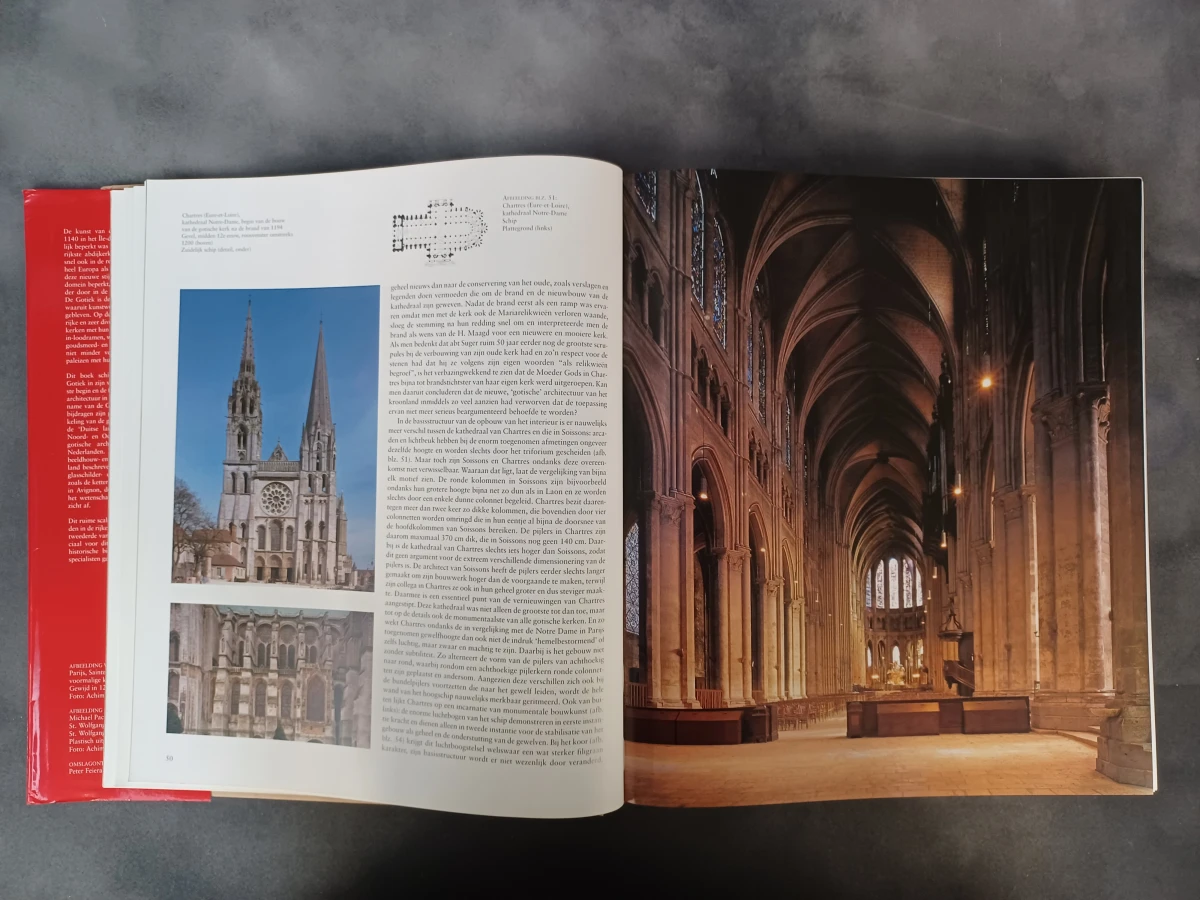 Boek: Gotiek: Architectuur - Beeldhouwkunst - Schilderkunst