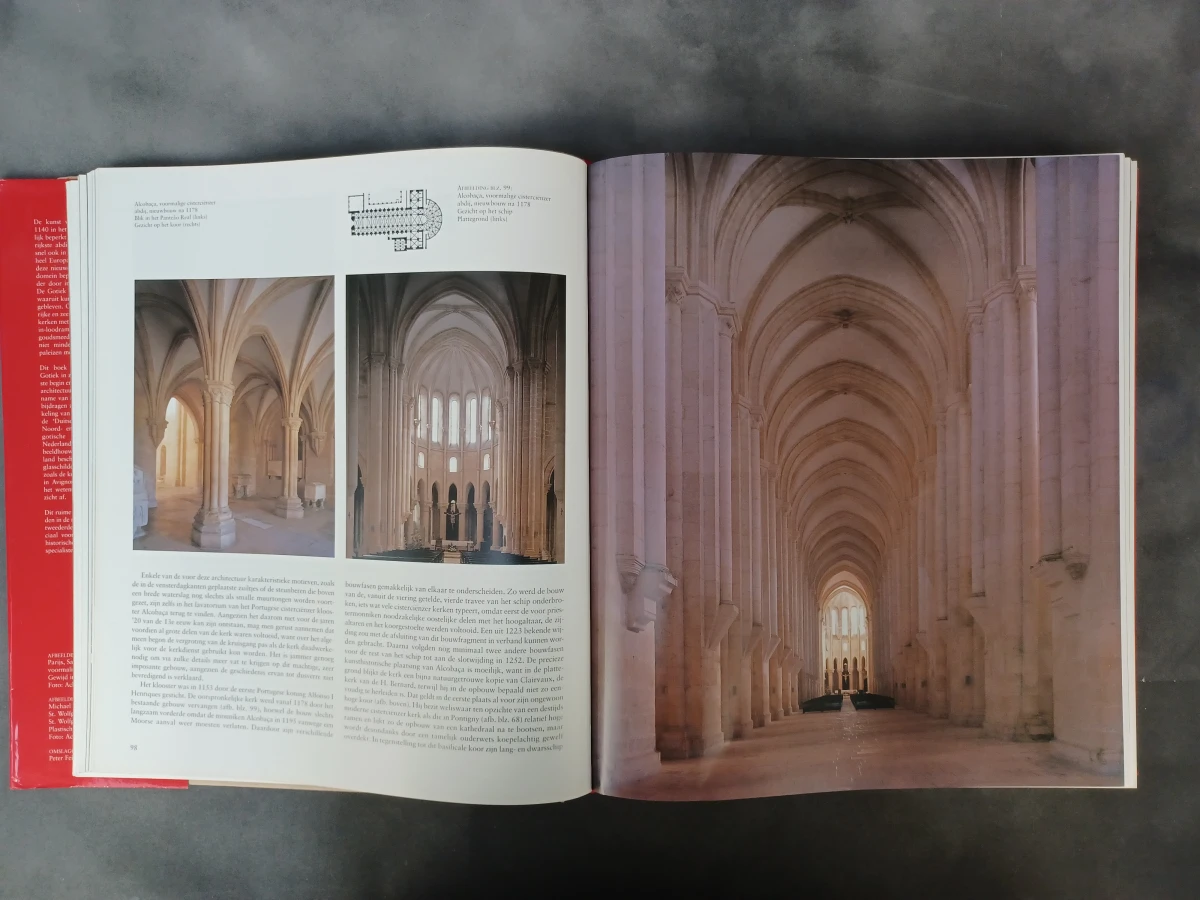 Boek: Gotiek: Architectuur - Beeldhouwkunst - Schilderkunst