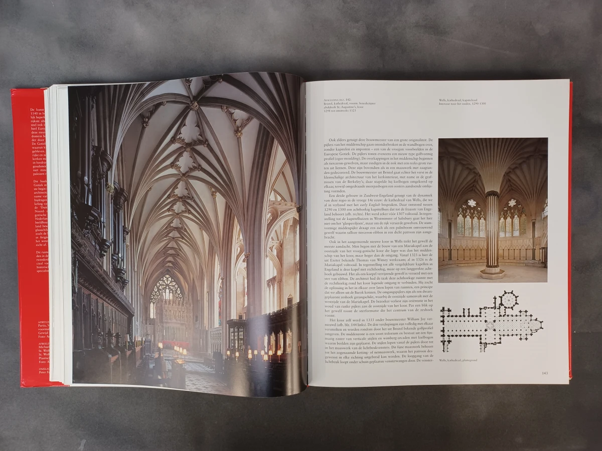 Boek: Gotiek: Architectuur - Beeldhouwkunst - Schilderkunst