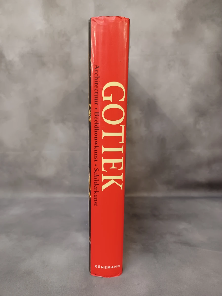 Boek: Gotiek: Architectuur - Beeldhouwkunst - Schilderkunst