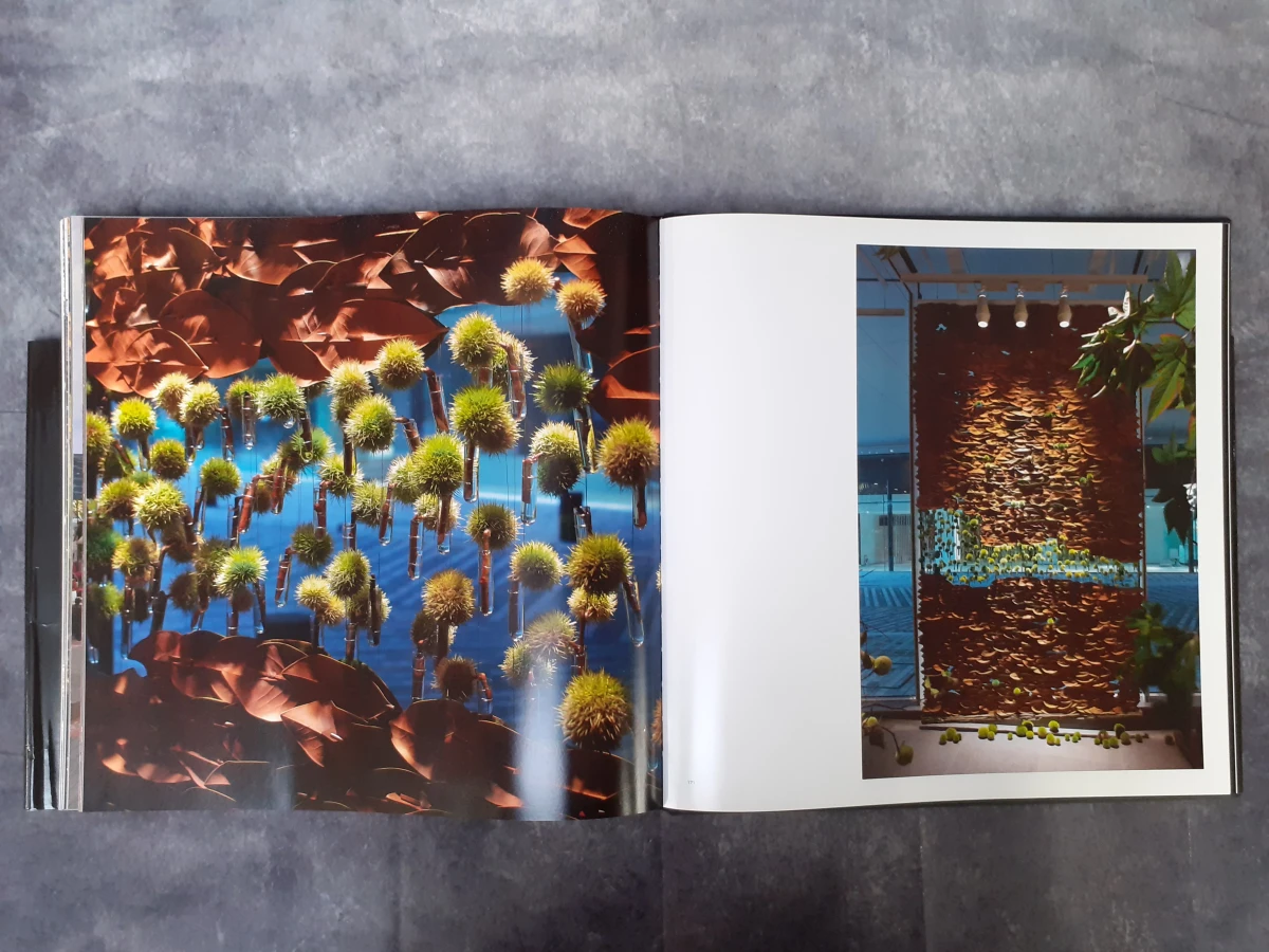 Boek: Invitations II - Daniel Ost