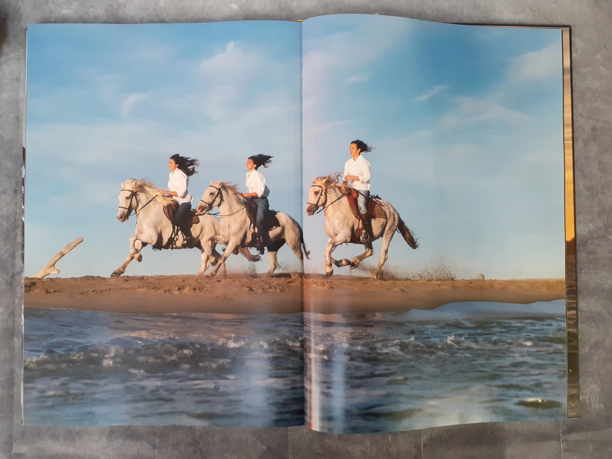 Boek: Luxefotoboek van Henk Van Cauwenbergh: L'art de vivre en Provence - Arles, Les Alpilles & La Camargue