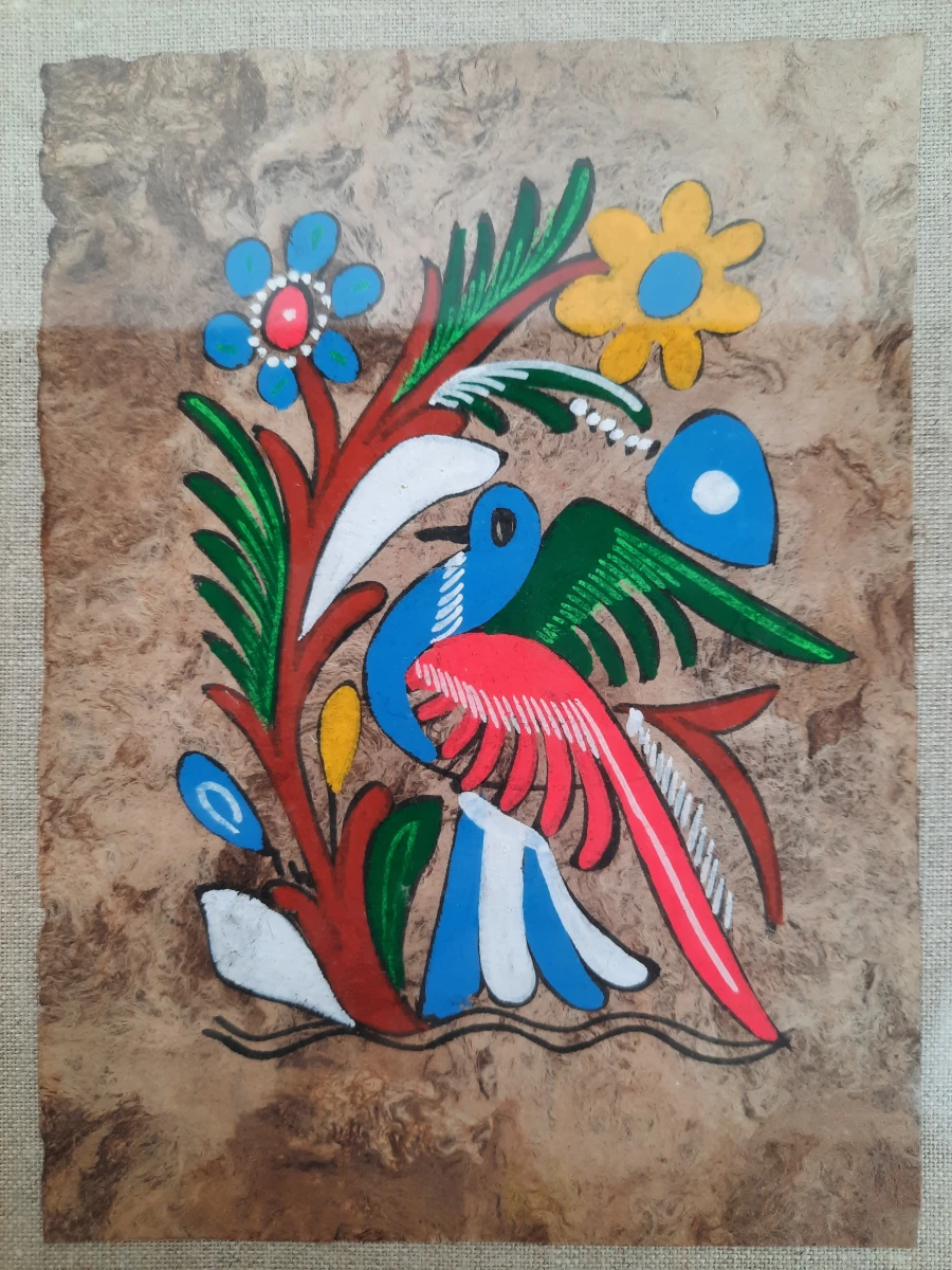 Ingelijst kleurrijk vogelkunstwerk op papier