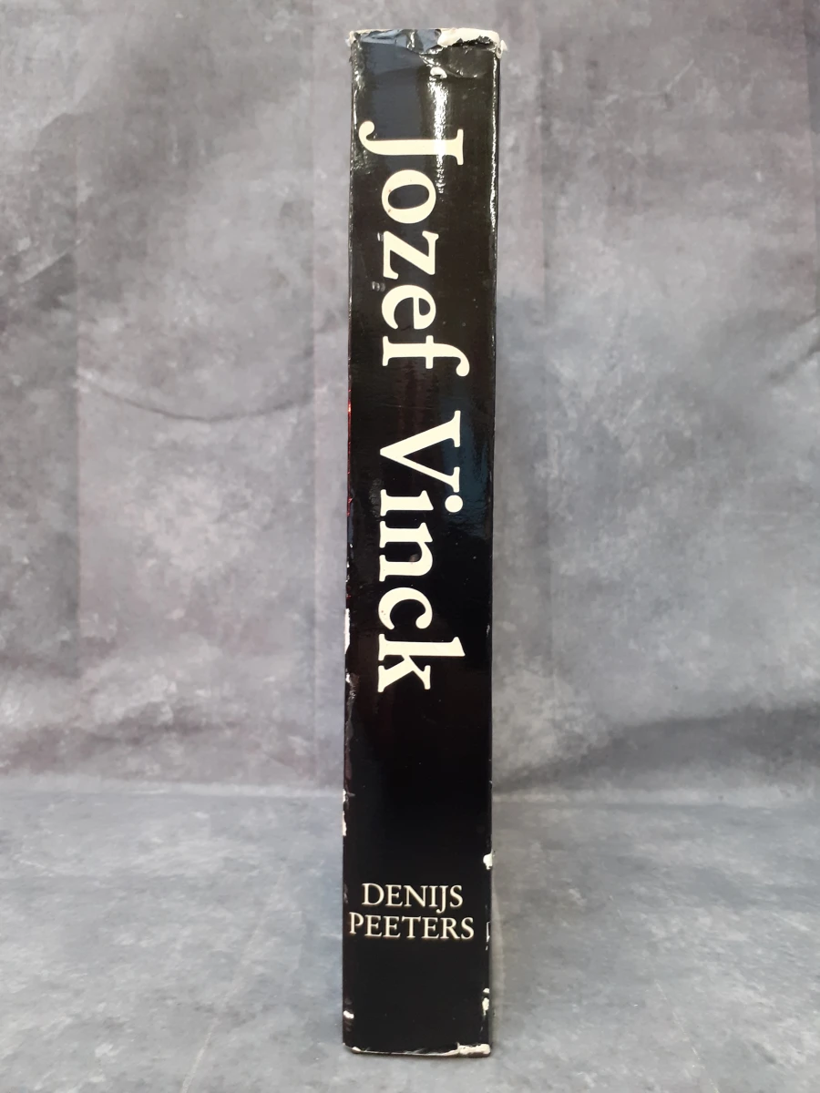 Boek: Jozef Vinck: gesitueerd in de kunstgeschiedenis van zijn tijd
