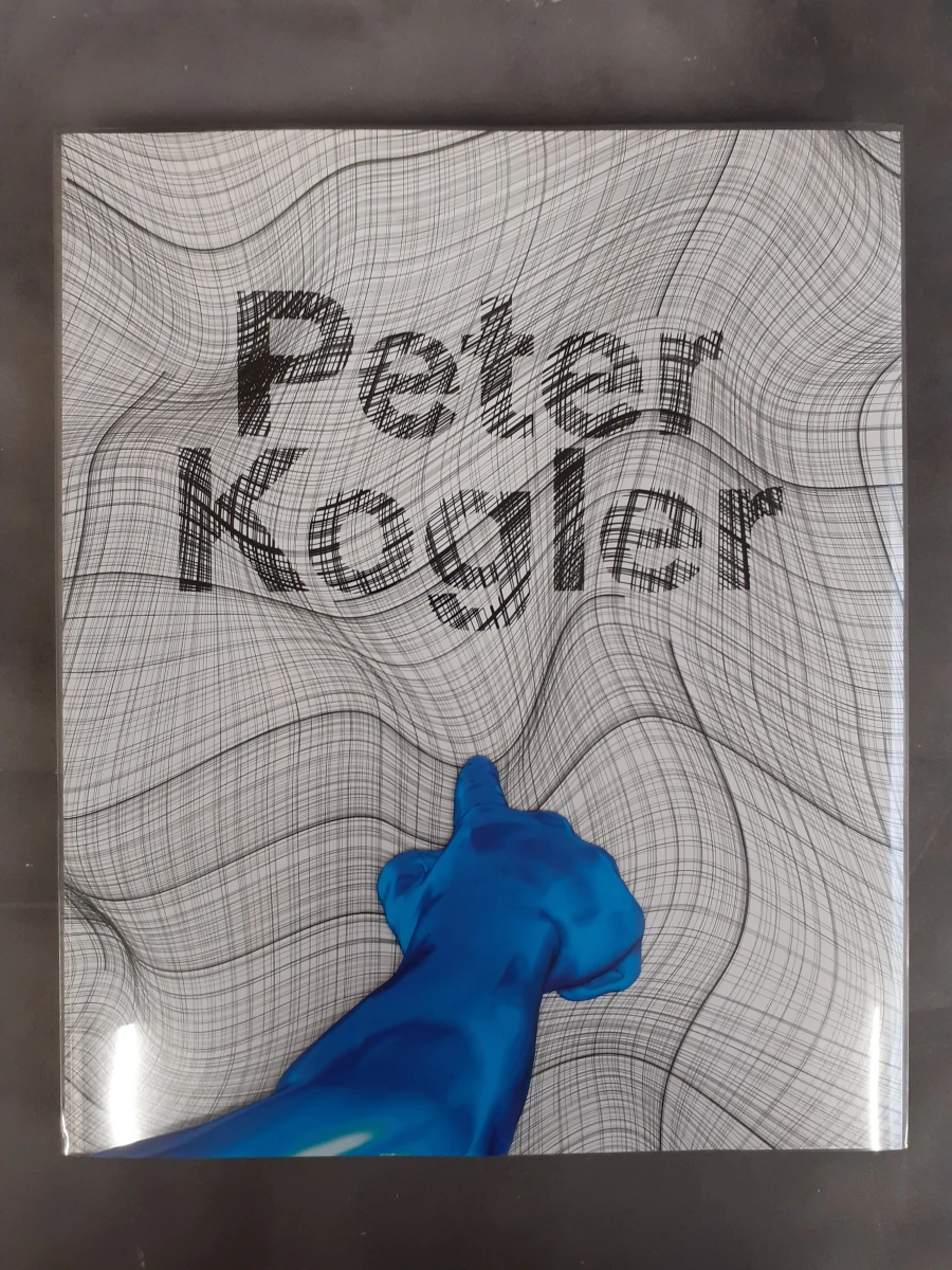 Boek: Peter Kogler - Next