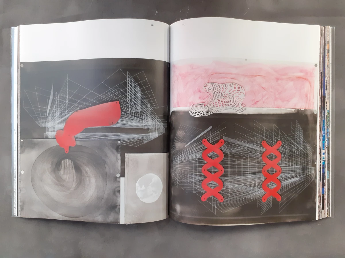 Boek: Peter Kogler - Next