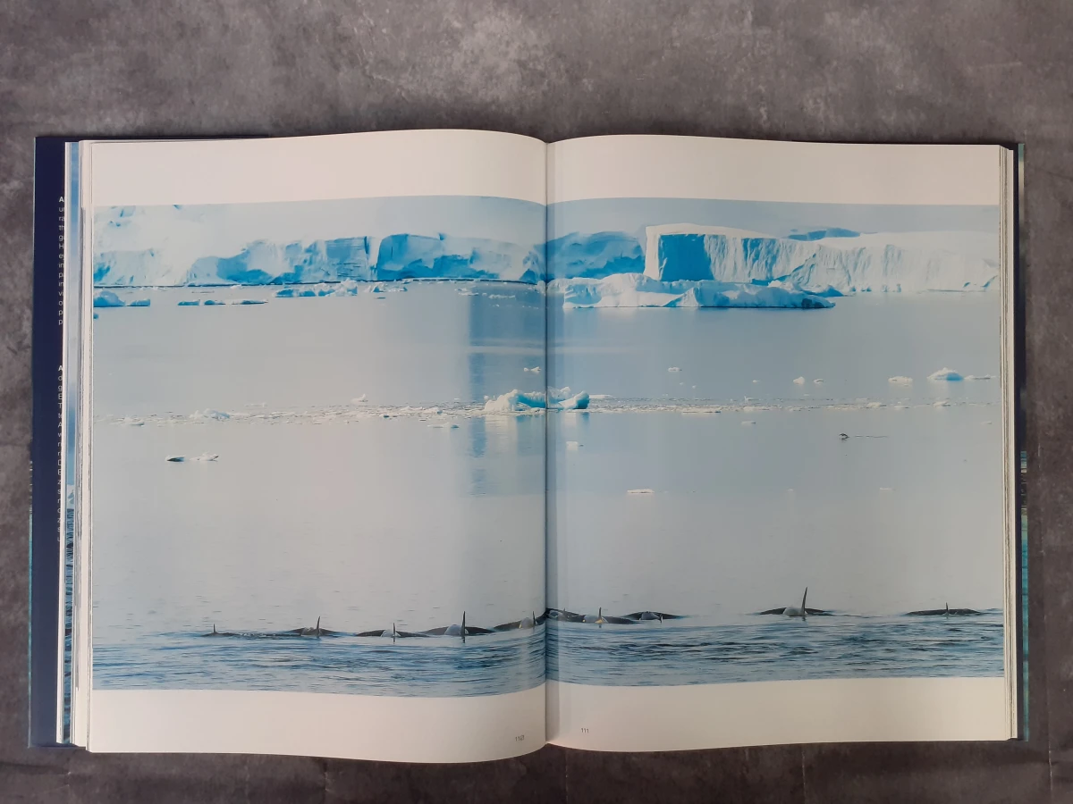 Boek: ArtArktis