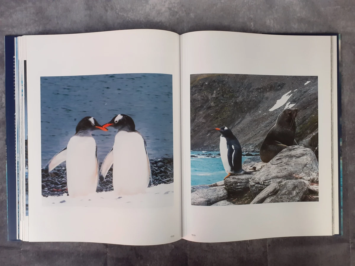 Boek: ArtArktis