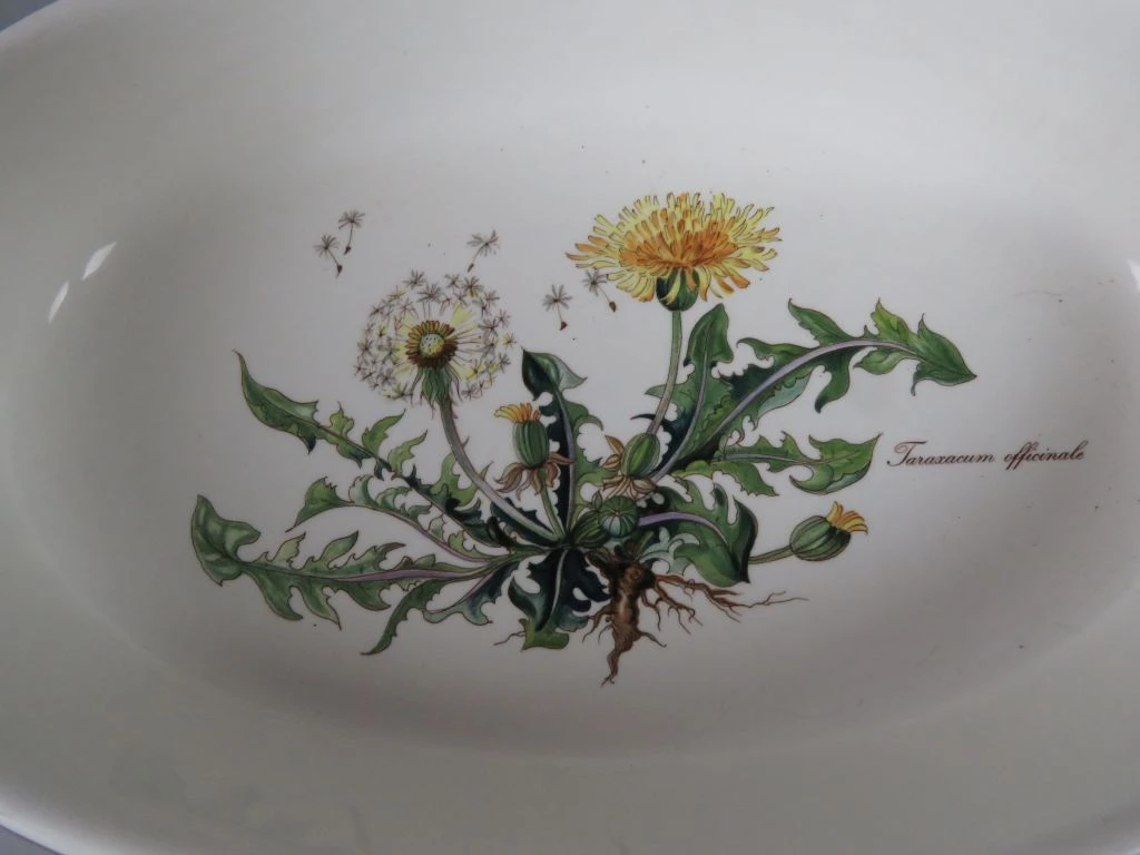 Villeroy & Boch Vilbofour Botanica Ovenschalen