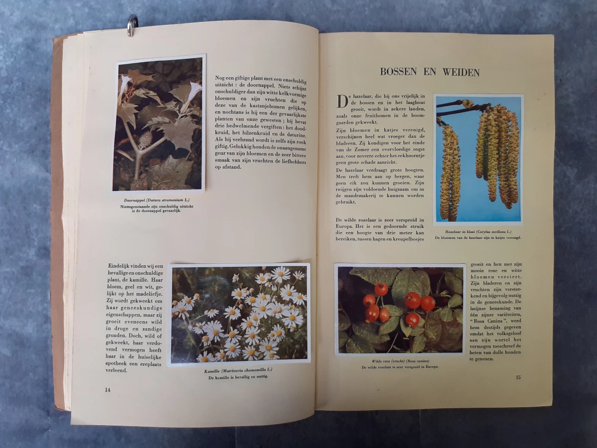 Boek: Trio van vintage Faunaflor-verzamelalbums
