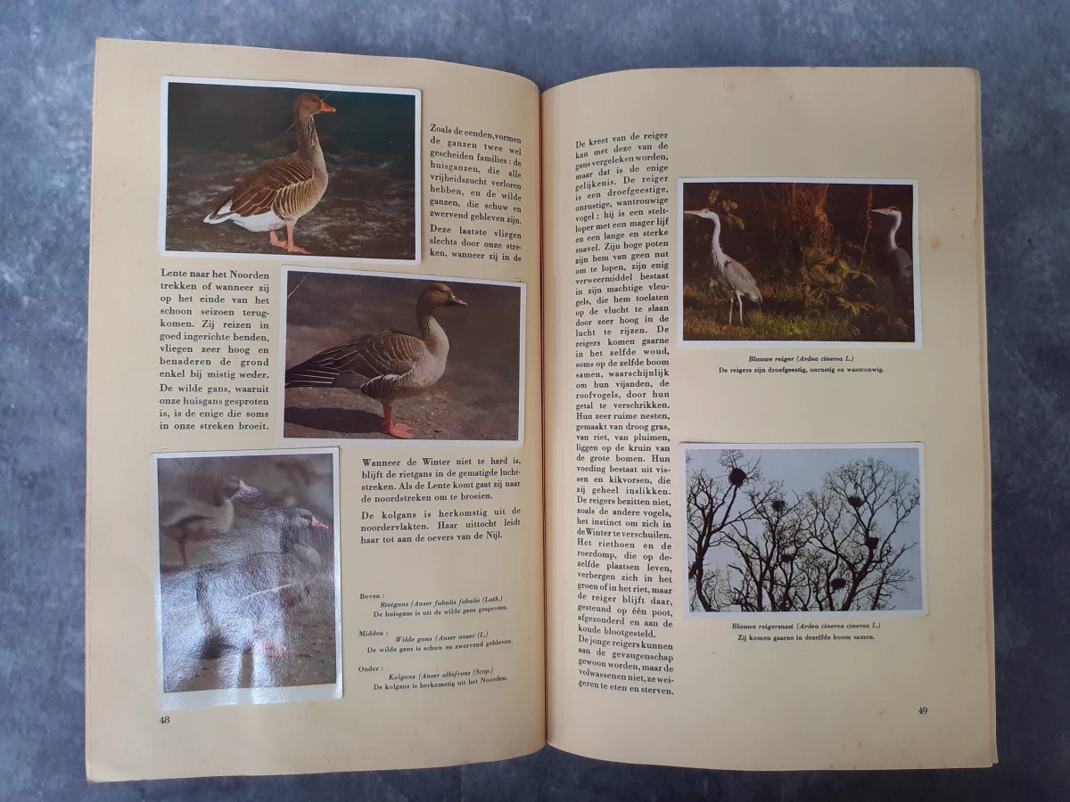 Boek: Trio van vintage Faunaflor-verzamelalbums