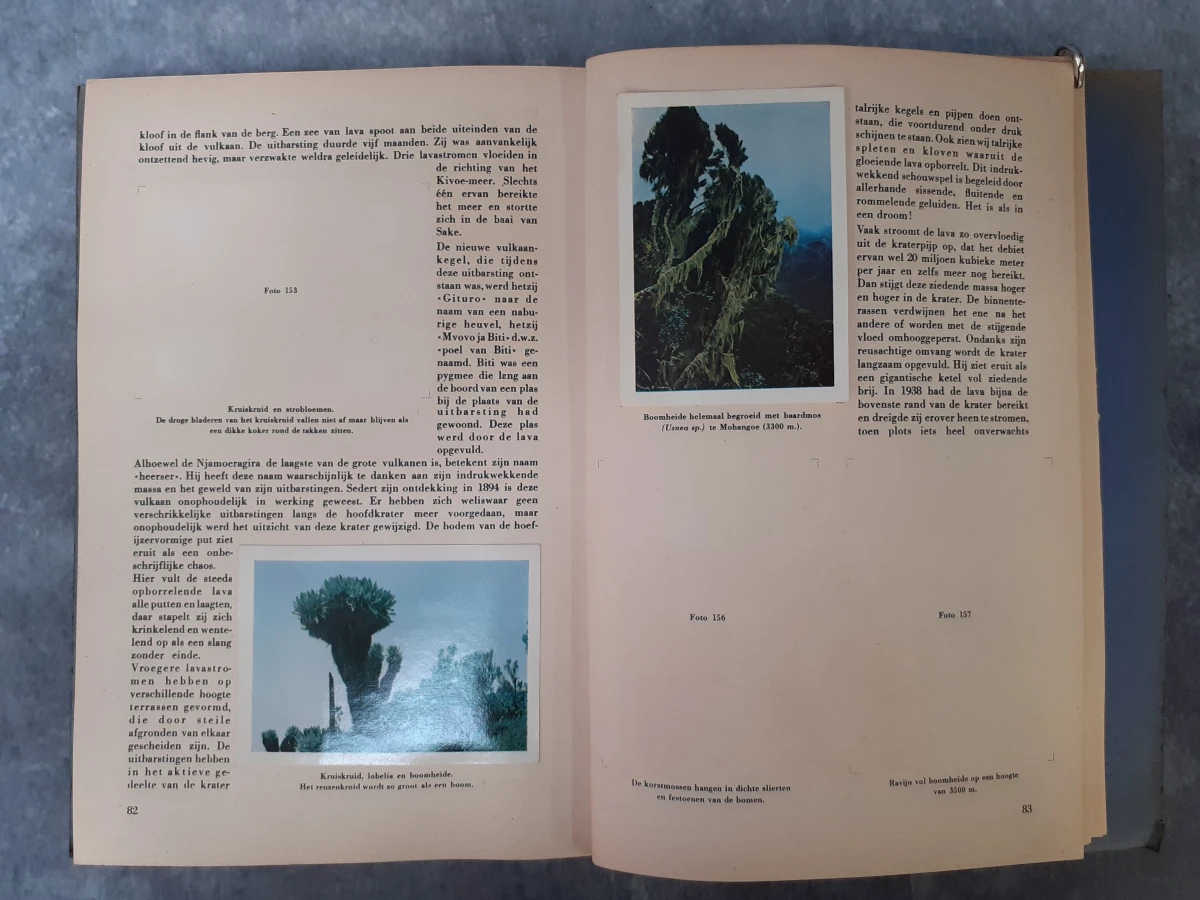Boek: Trio van vintage Faunaflor-verzamelalbums