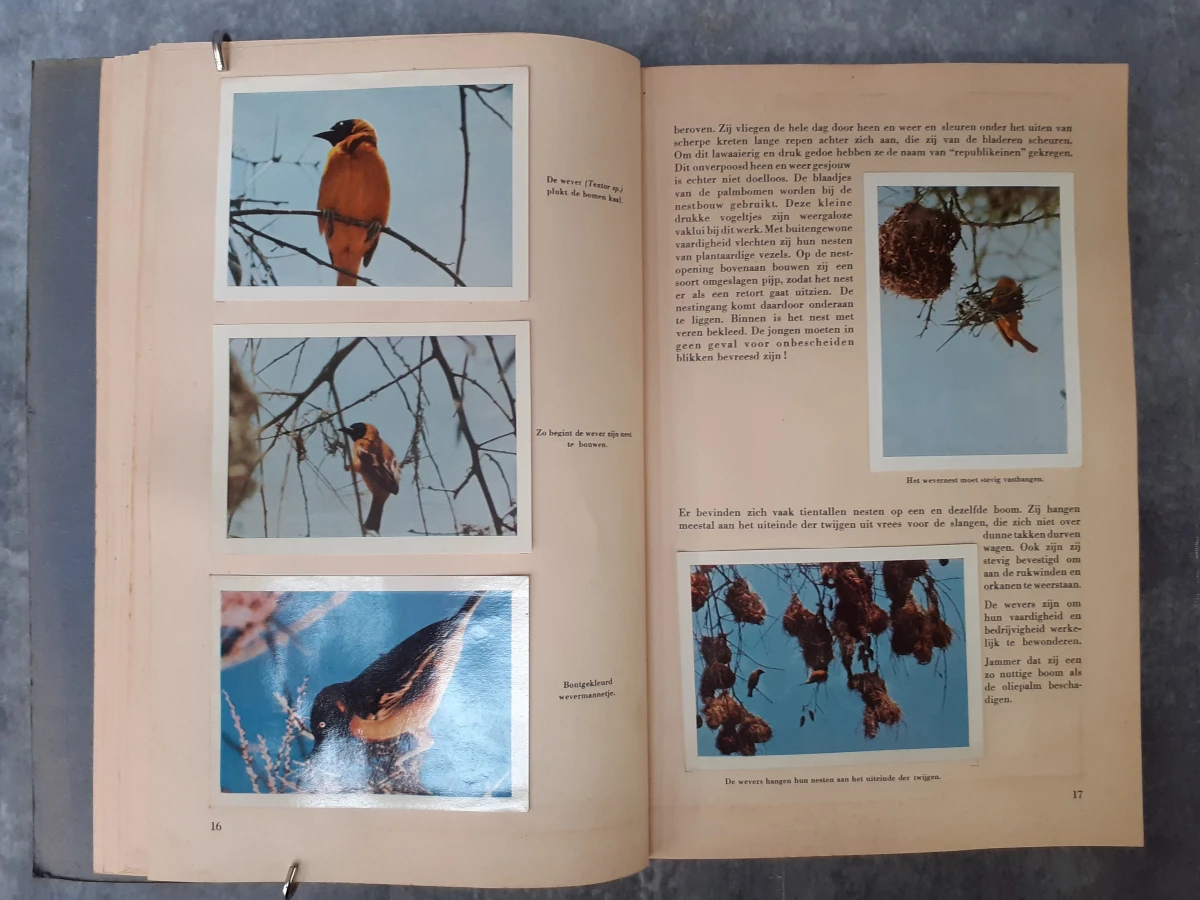 Boek: Trio van vintage Faunaflor-verzamelalbums