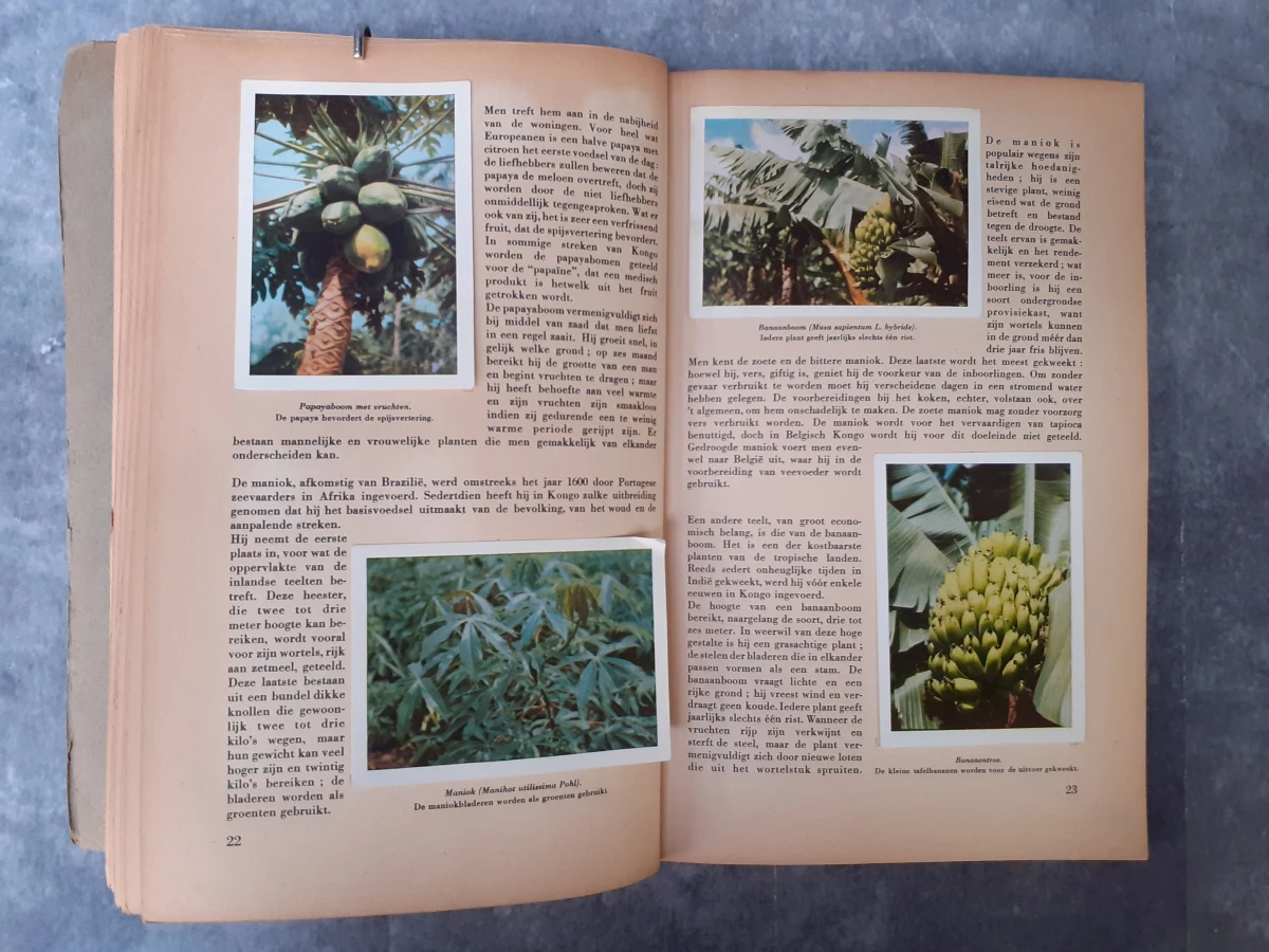 Boek: Trio van vintage Faunaflor-verzamelalbums
