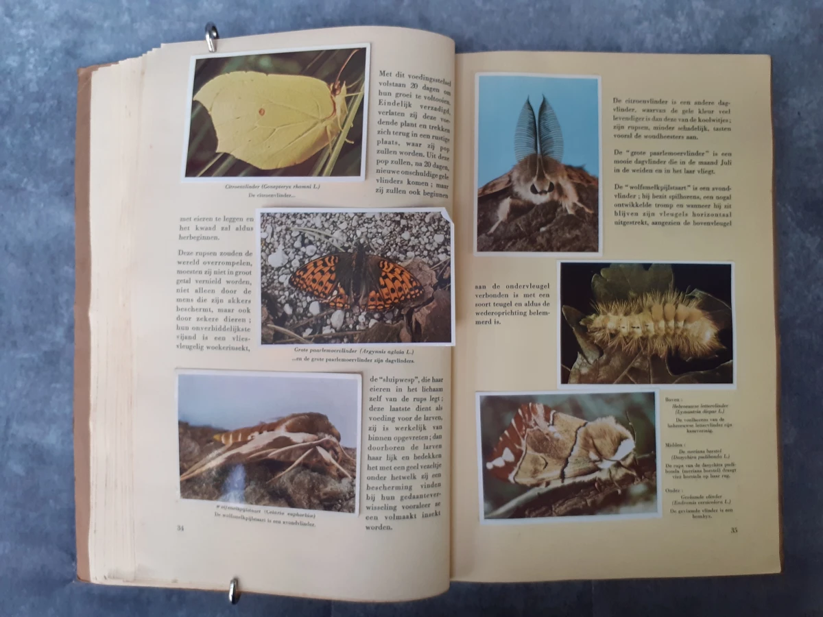 Boek: Trio van vintage Faunaflor-verzamelalbums
