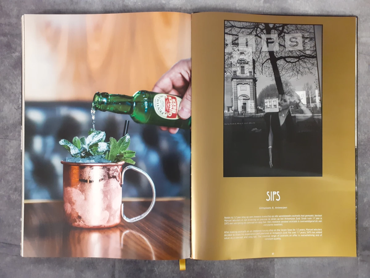 Boek: Luxe fotoboek van Henk van Cauwenbergh: Wonderful Antwerp