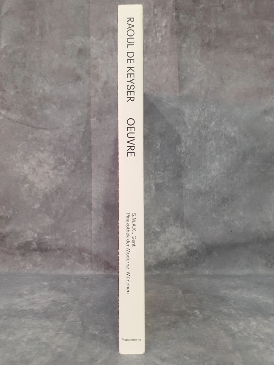 Boek: Raoul De Keyser - Oeuvre