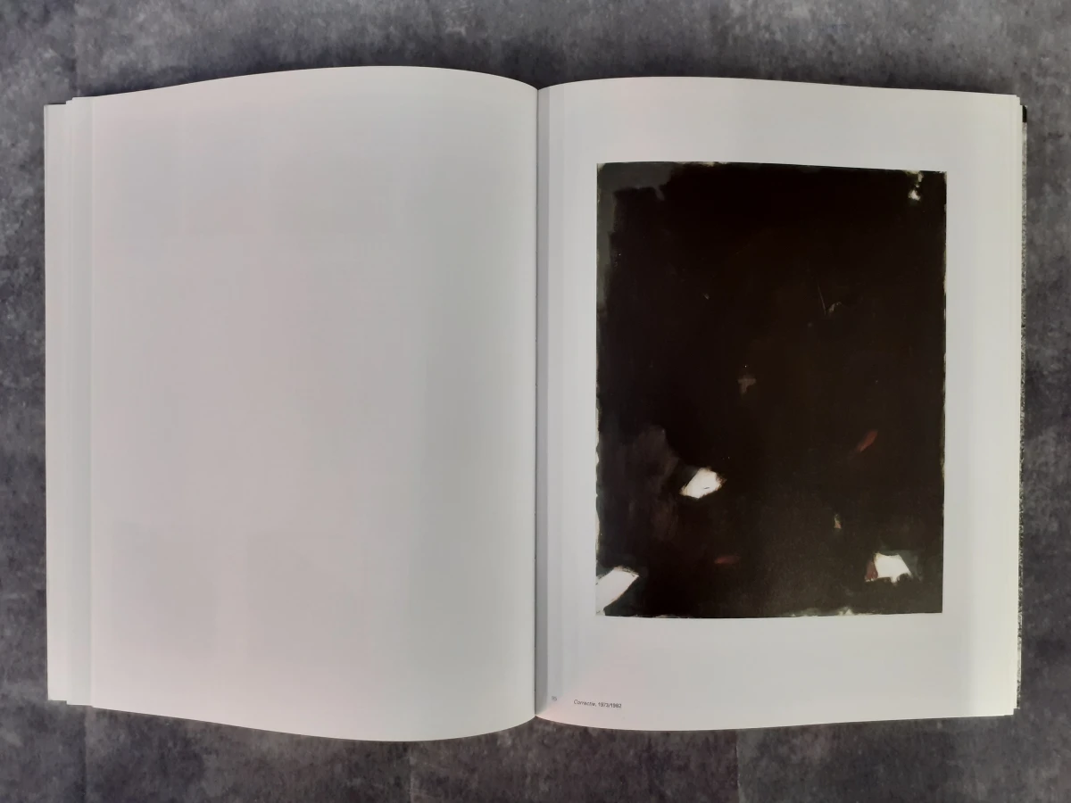 Boek: Raoul De Keyser - Oeuvre