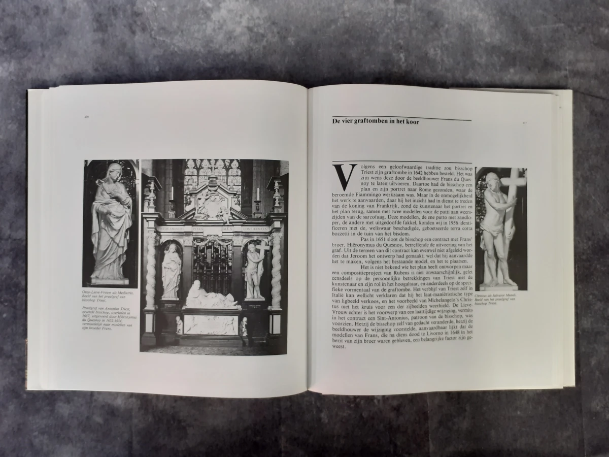 Boek: Aan den voet van het Belfort & De Sint-Baafskathedraal
