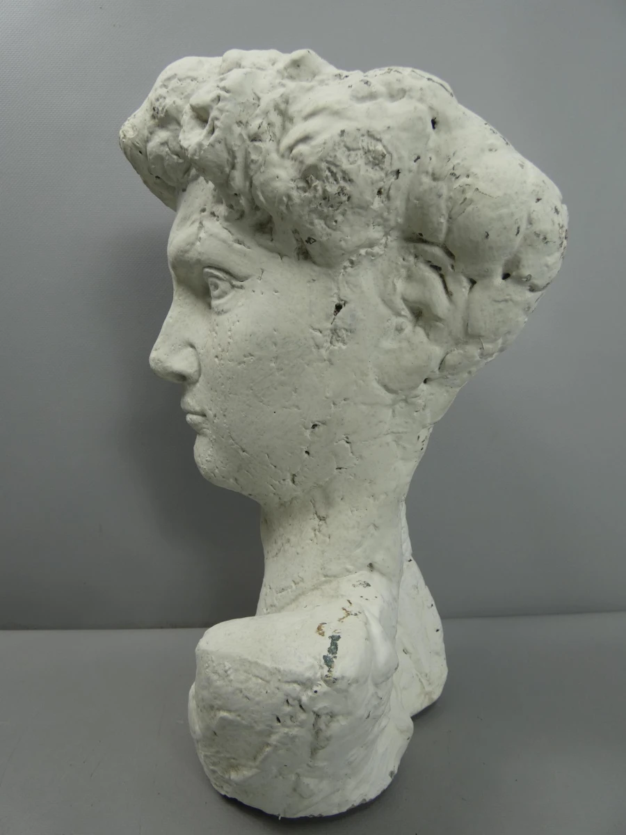 Stenen buste van Michelangelo's David