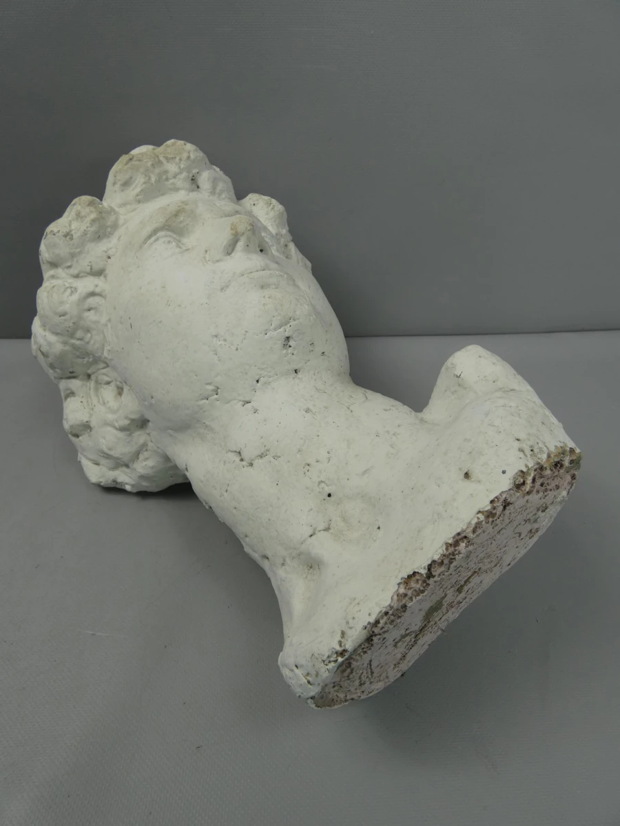 Stenen buste van Michelangelo's David