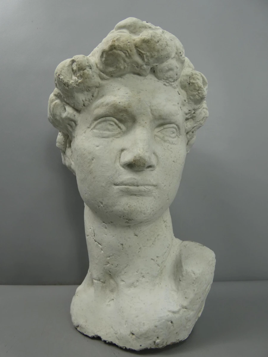 Stenen buste van Michelangelo's David