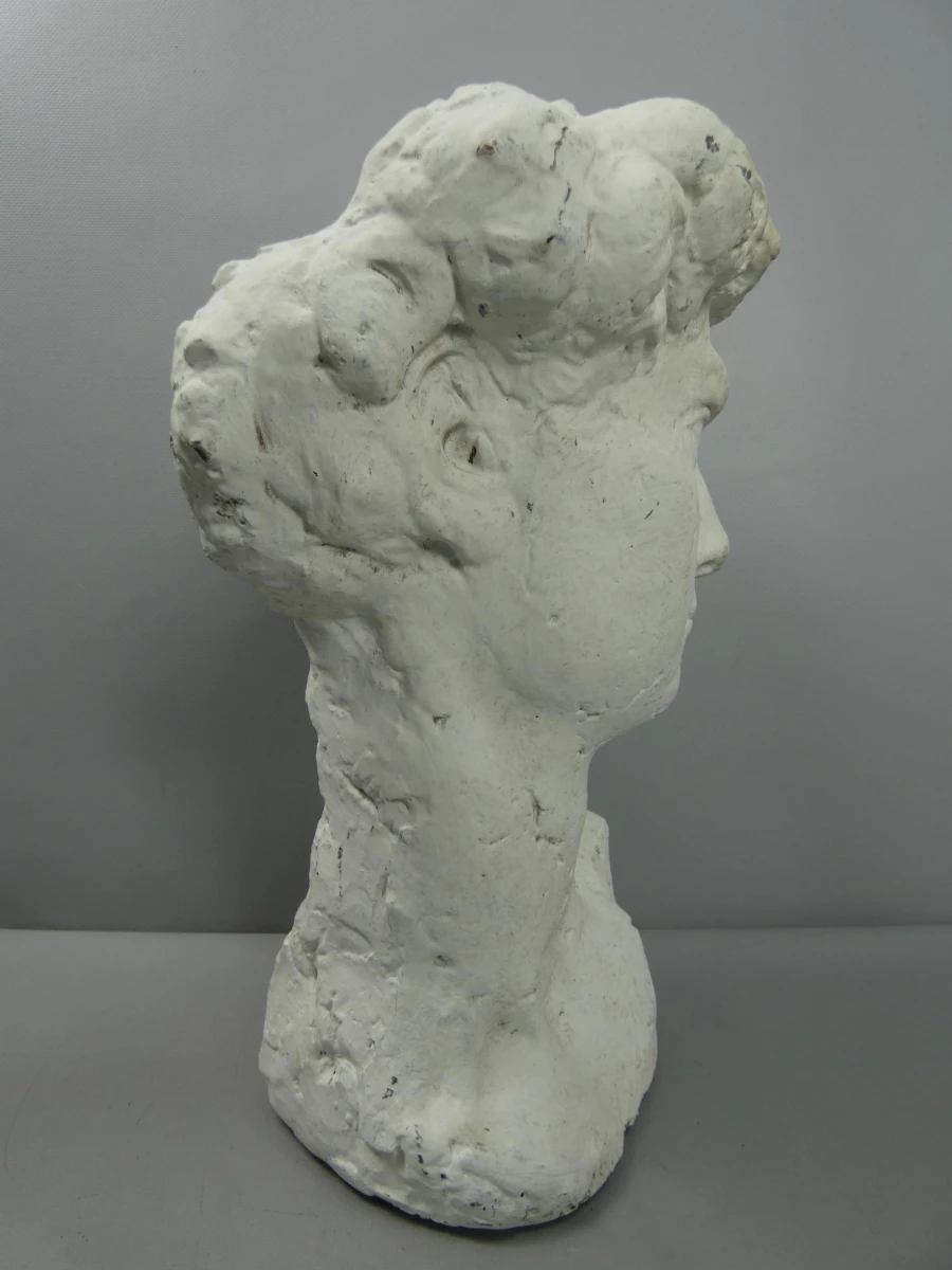 Stenen buste van Michelangelo's David