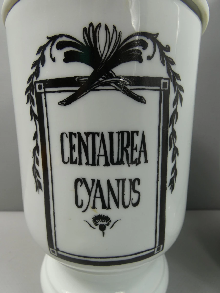 Set van 2 porseleinen apothekerspotten Centaurea Cyanus
