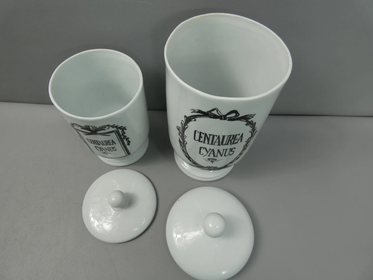 Set van 2 porseleinen apothekerspotten Centaurea Cyanus