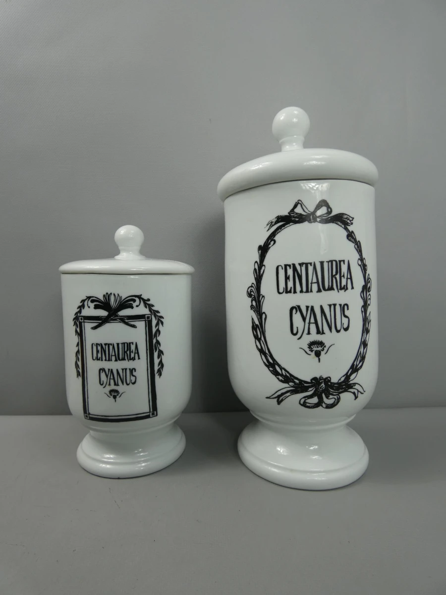 Set van 2 porseleinen apothekerspotten Centaurea Cyanus