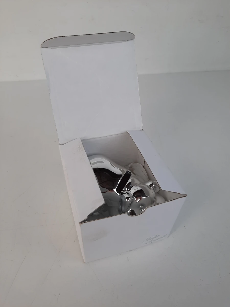 Luxe Verzilverde Spaarpot "Varkentje" – Moda Argenti (Nieuw in Doos)