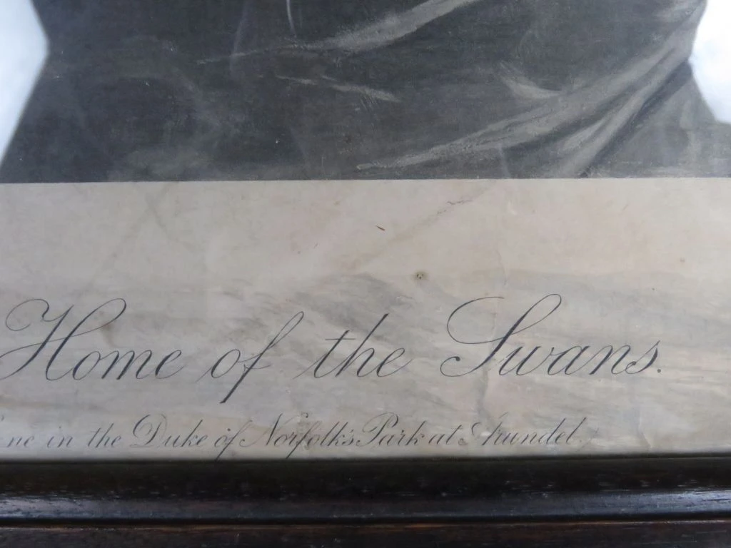 Antieke Gravure "The Home of the Swans" door Fred Morgan