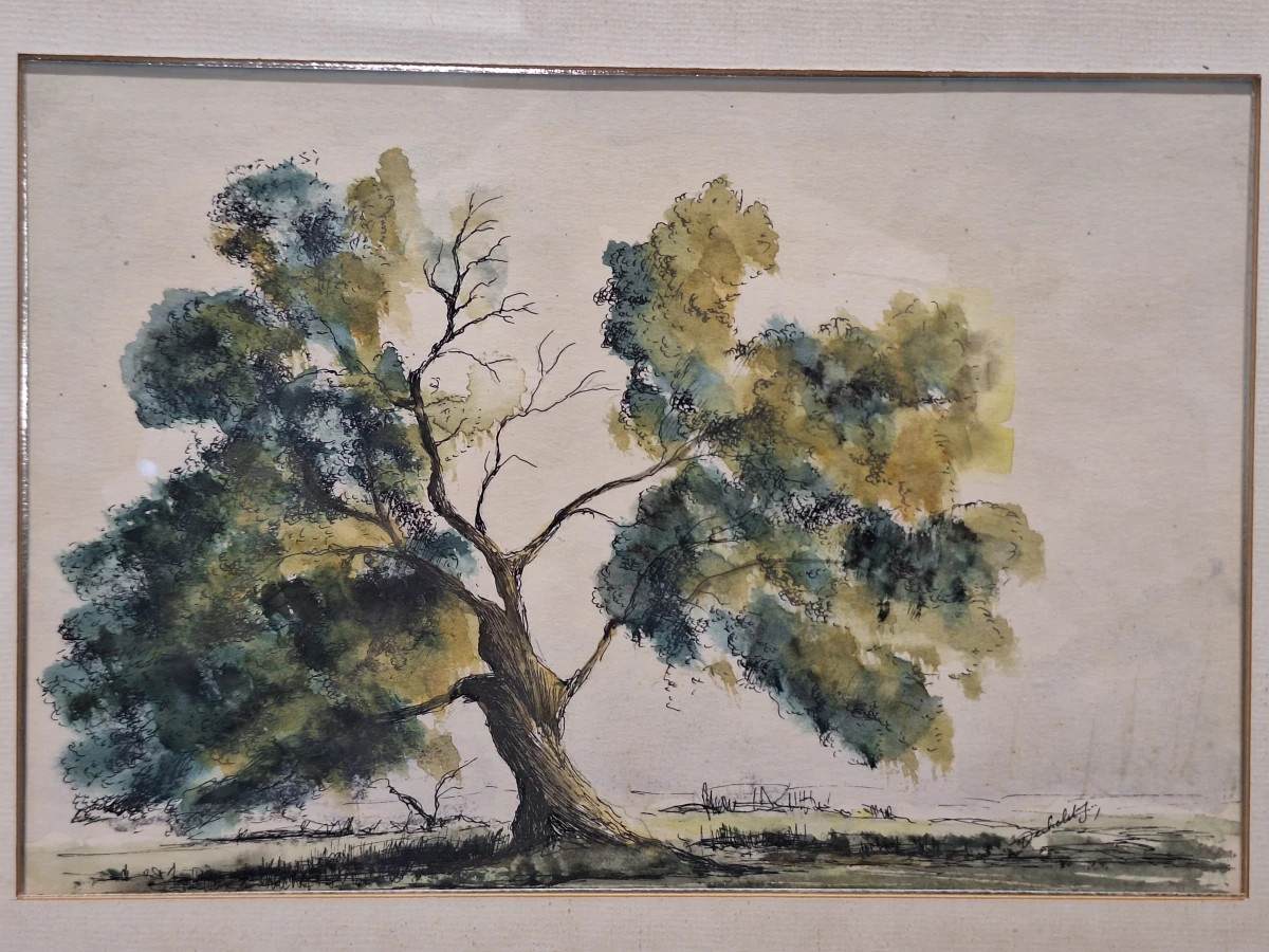 Set van 3 vintage aquarellen met boom- en boslandschappen - gesigneerd J. Verhelst - ingelijst