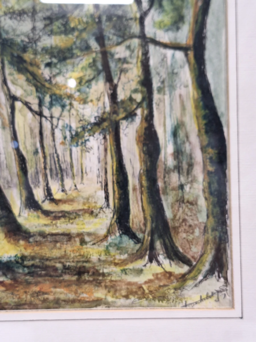 Set van 3 vintage aquarellen met boom- en boslandschappen - gesigneerd J. Verhelst - ingelijst